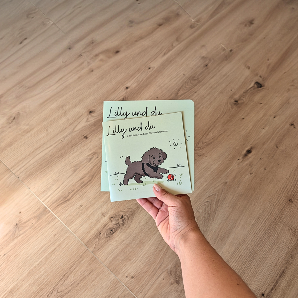 Foto von beiden Formaten (Pappbuch & Mini-Buch)